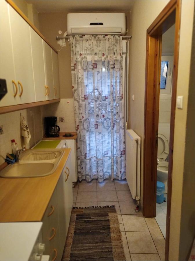 Nice And Cosy Studio 拉里萨 外观 照片